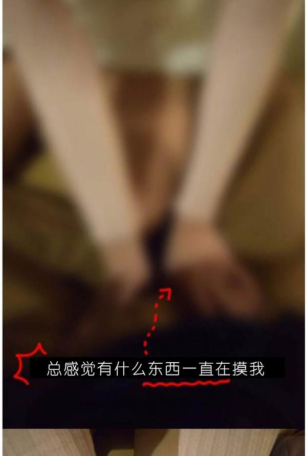 12P - 狐狸般的女人