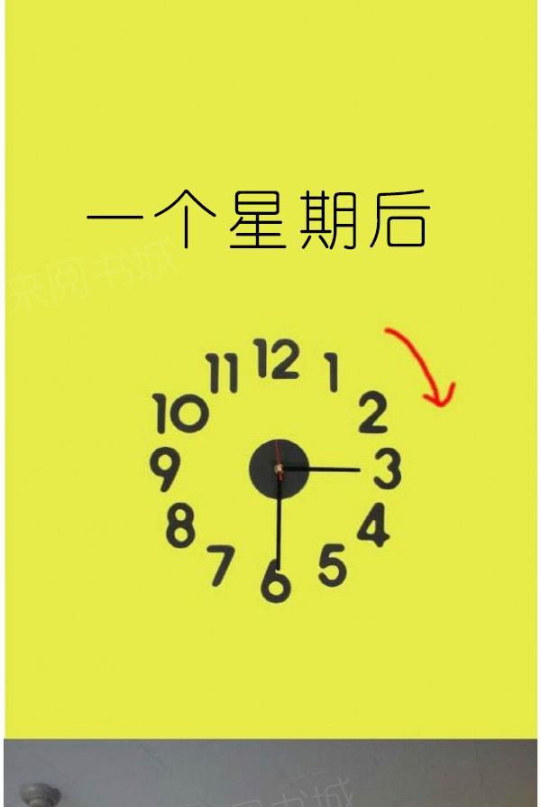 24P - 狐狸般的女人