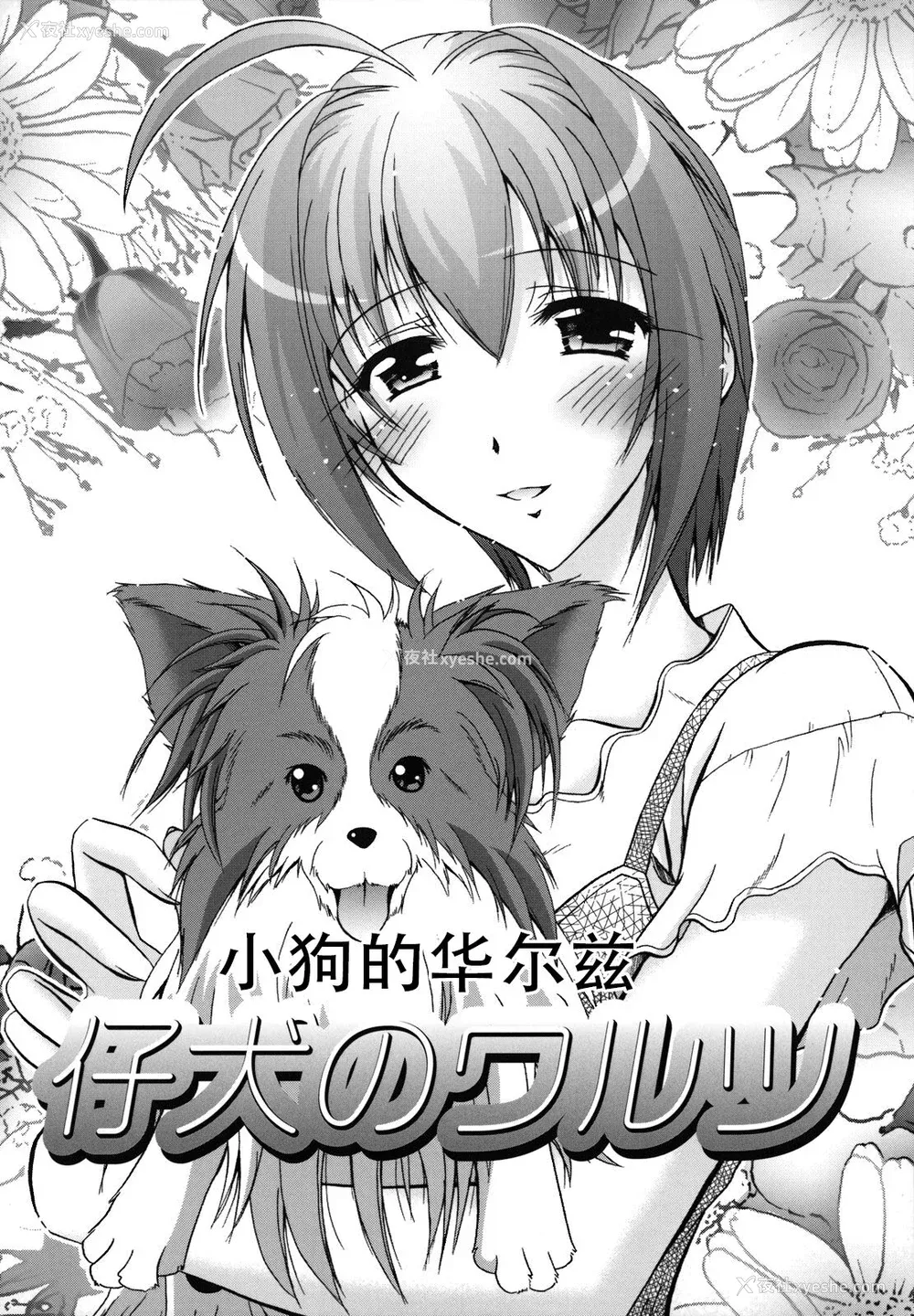 125P - [ぱふぇ] SisLove [中国翻訳]