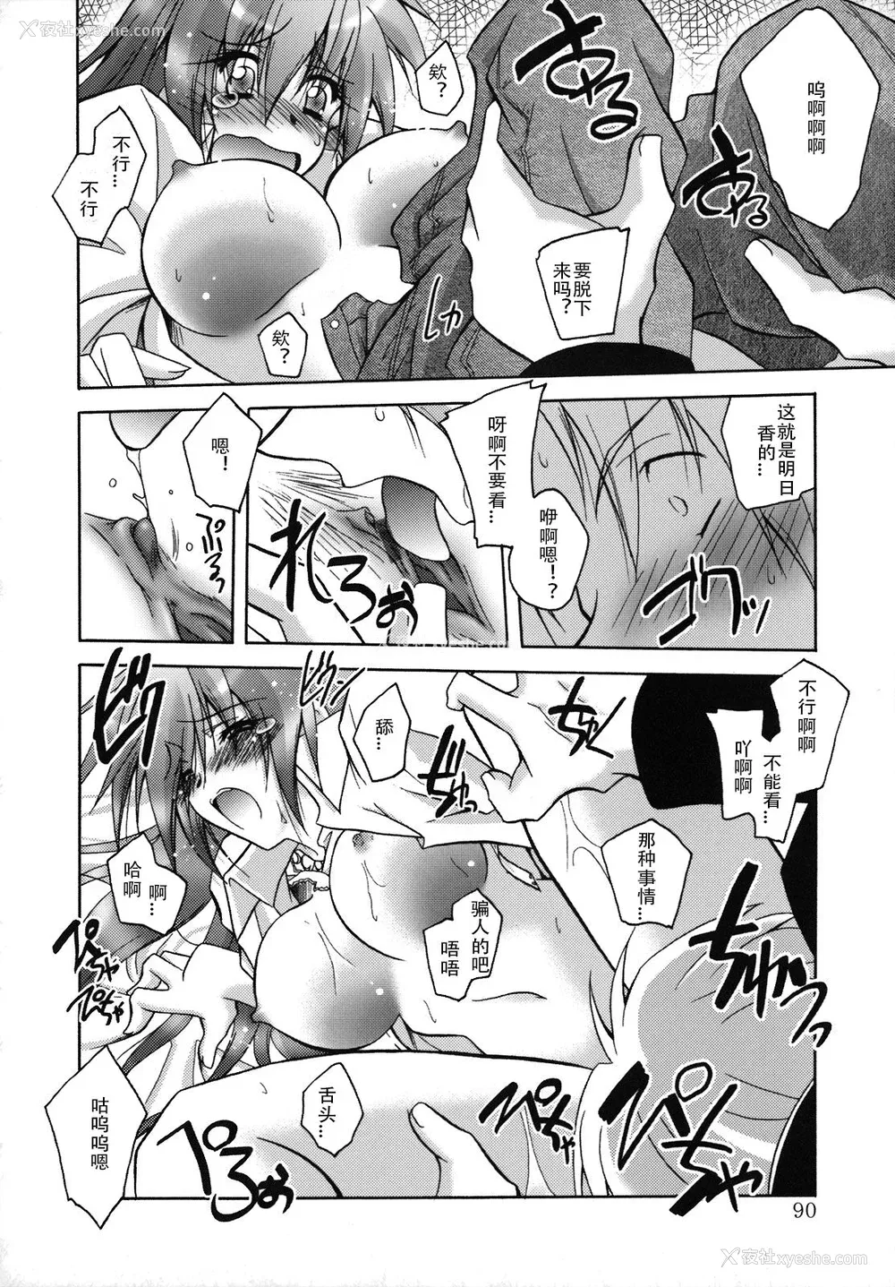 95P - [ぱふぇ] SisLove [中国翻訳]