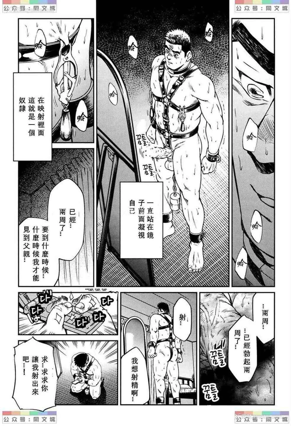 207P - [BIG GYM (藤本郷、とりきくーや)] 冲縄スレイブアイランド