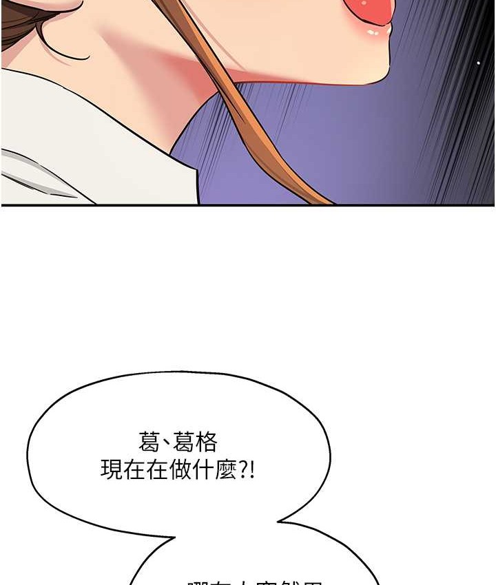 51P - 洞洞杂货店