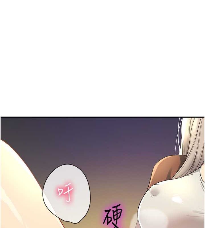 4P - 洞洞杂货店