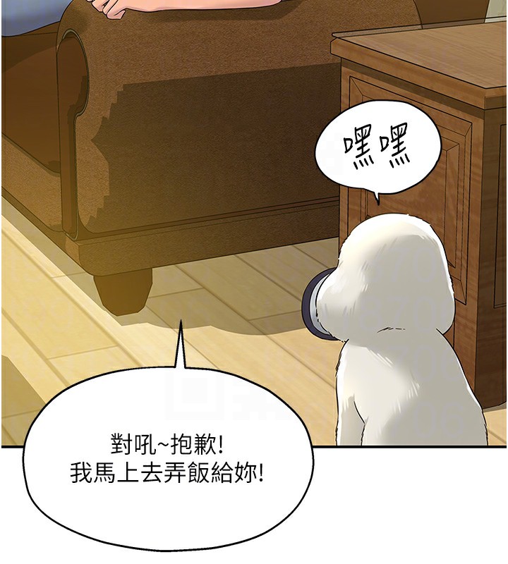 22P - 洞洞杂货店
