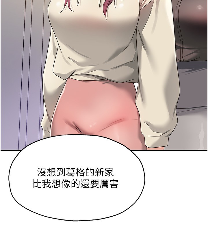62P - 洞洞杂货店