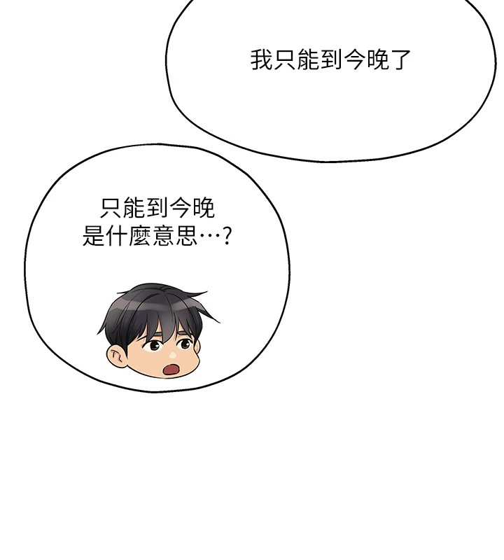 41P - 洞洞杂货店