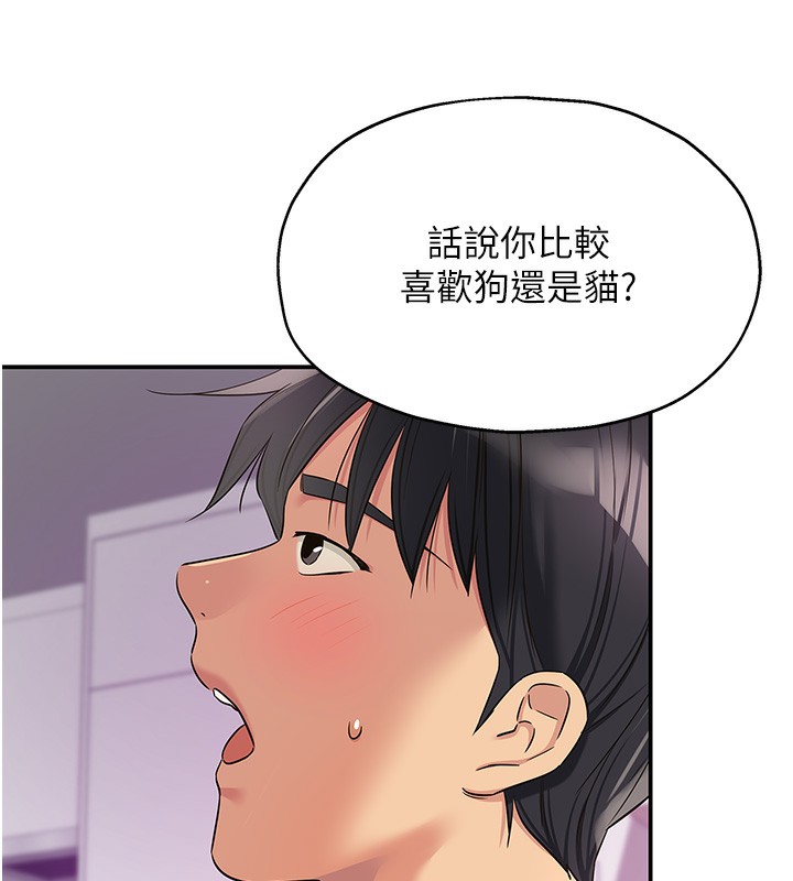 5P - 洞洞杂货店