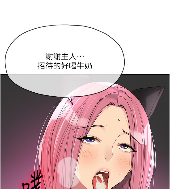 81P - 洞洞杂货店