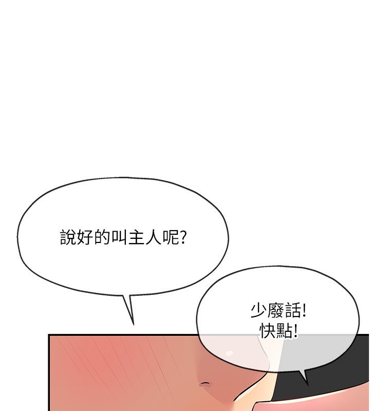 1P - 洞洞杂货店
