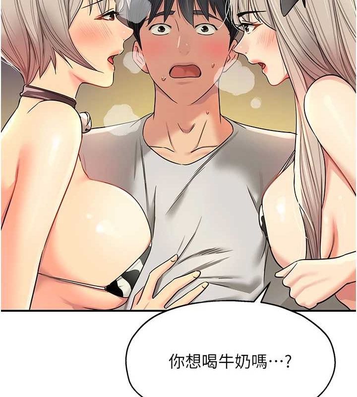 57P - 洞洞杂货店