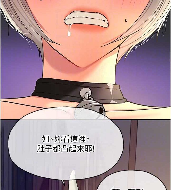 46P - 洞洞杂货店