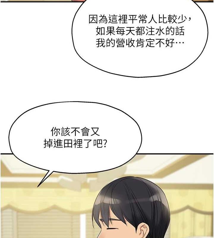 5P - 洞洞杂货店