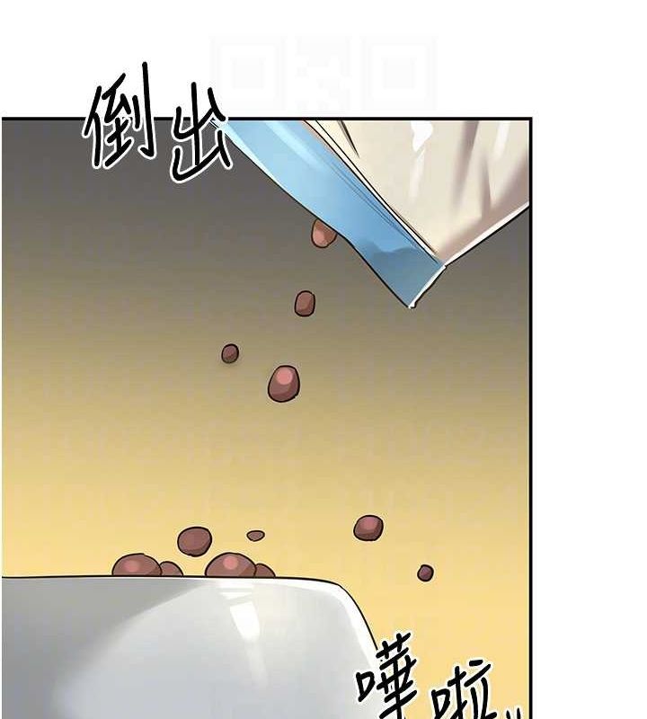 17P - 洞洞杂货店