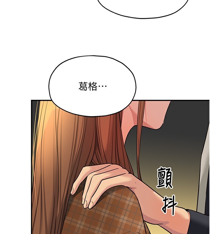 62P - 洞洞杂货店