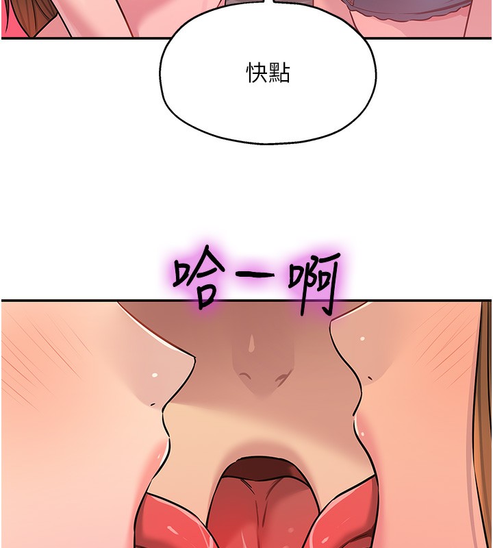 40P - 洞洞杂货店
