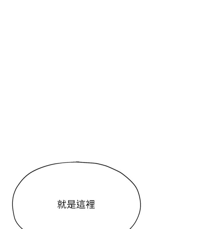 1P - 洞洞杂货店