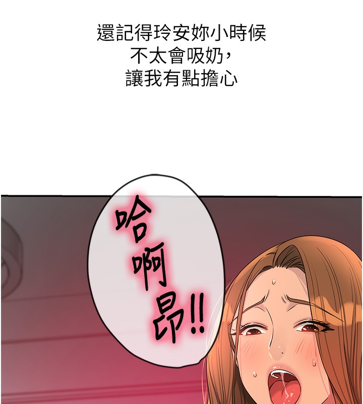 82P - 洞洞杂货店