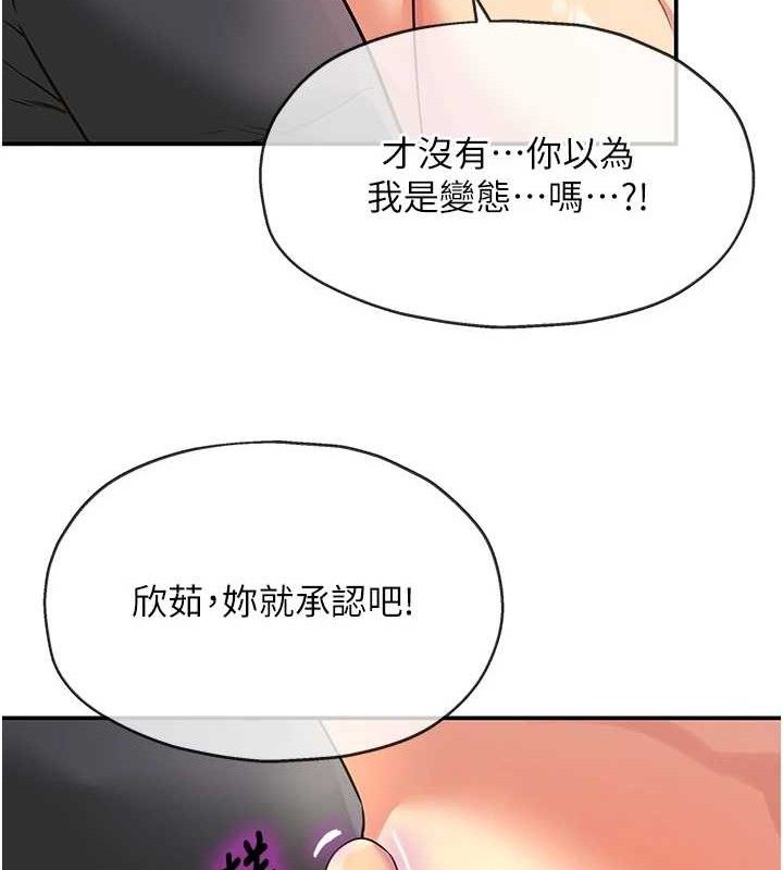 62P - 洞洞杂货店