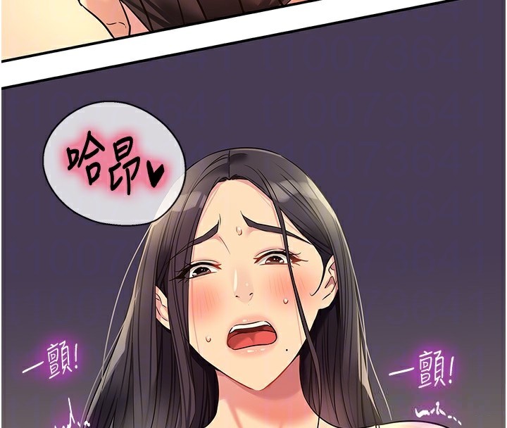 114P - 洞洞杂货店