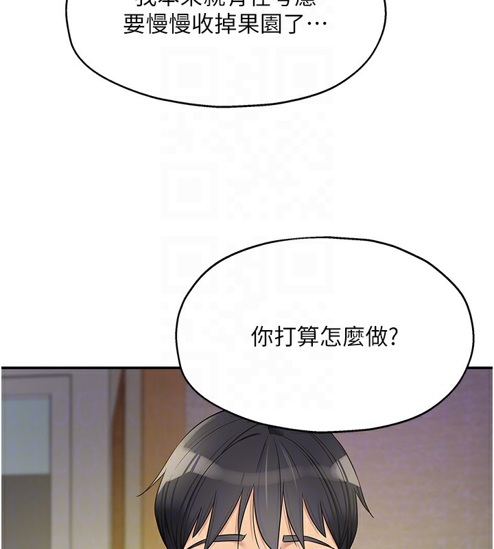 21P - 洞洞杂货店