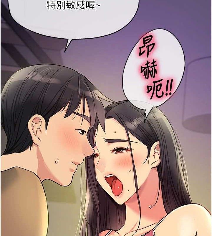 7P - 洞洞杂货店