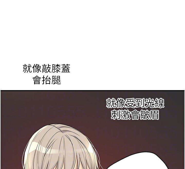 88P - 洞洞杂货店