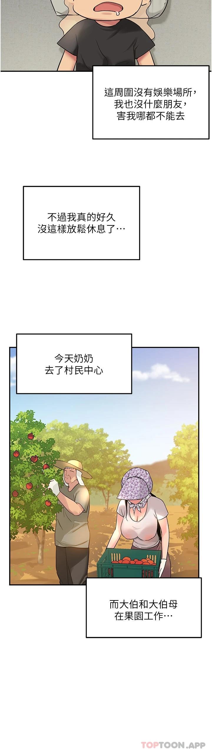 3P - 洞洞杂货店