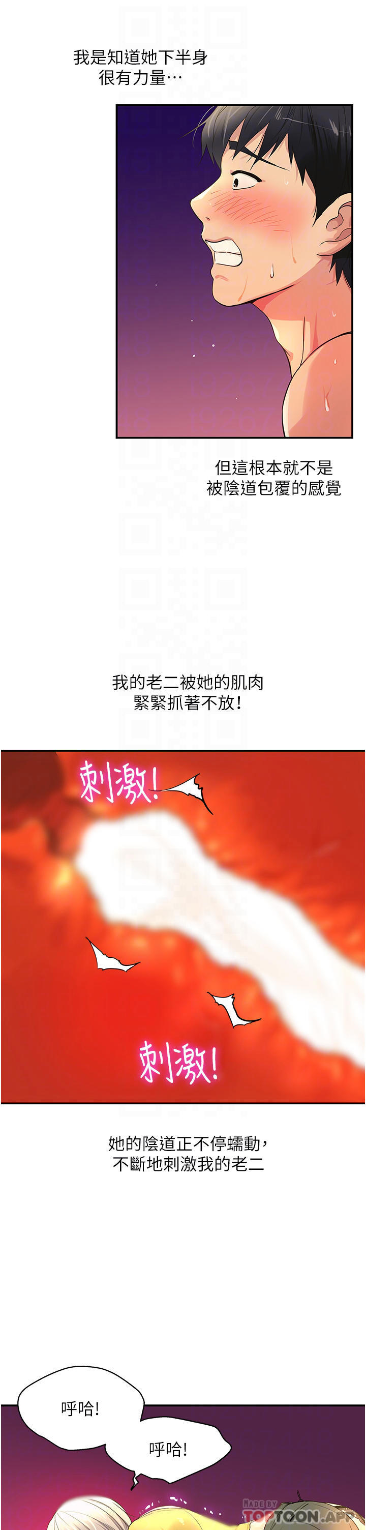 7P - 洞洞杂货店