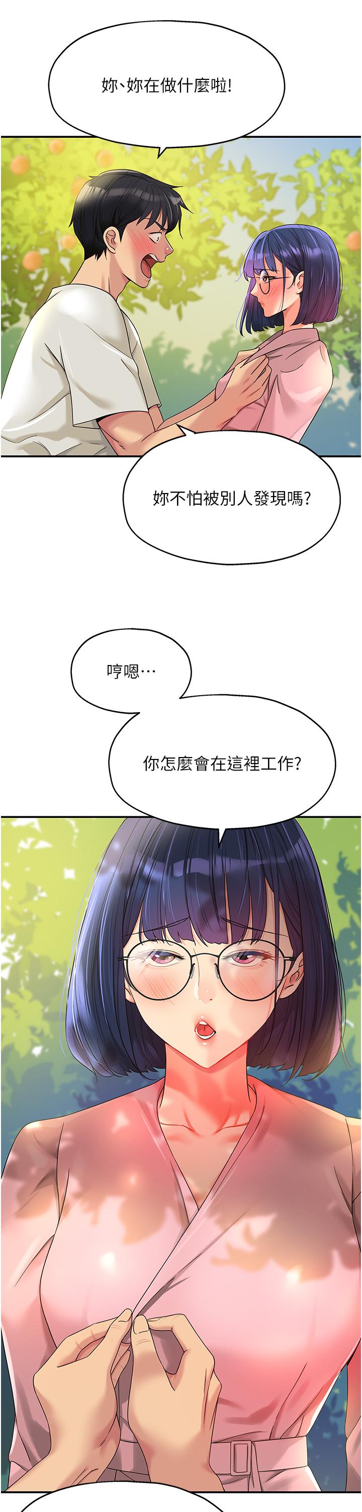 4P - 洞洞杂货店