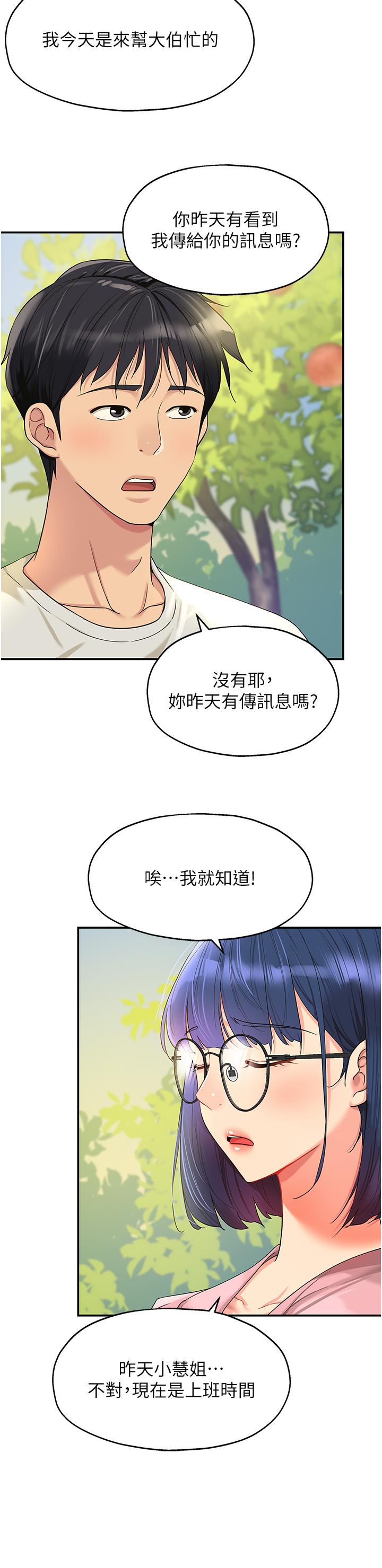 5P - 洞洞杂货店