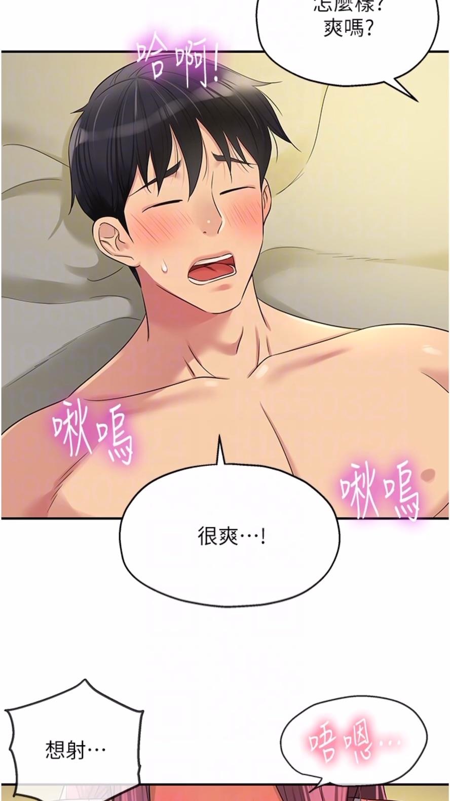 43P - 洞洞杂货店