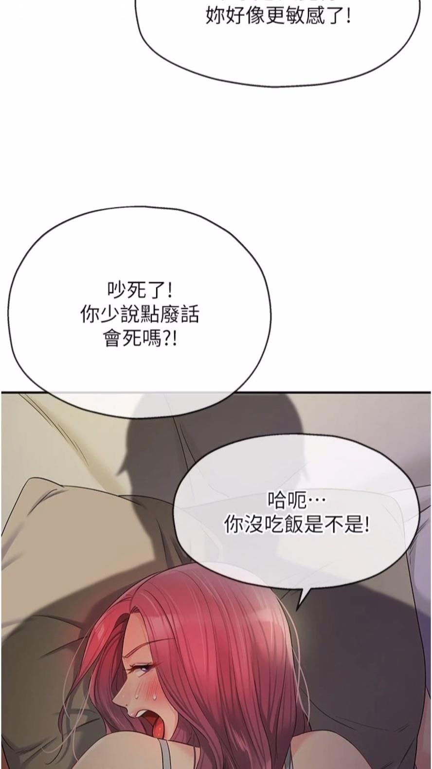 4P - 洞洞杂货店