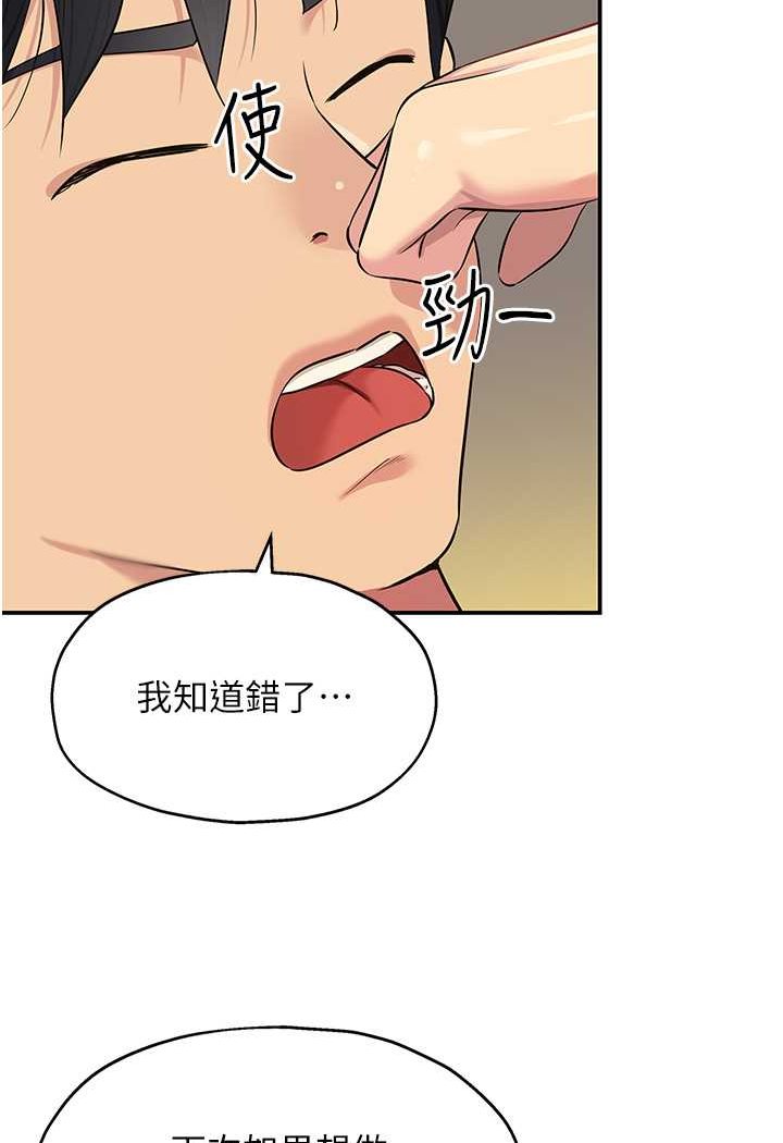 62P - 洞洞杂货店