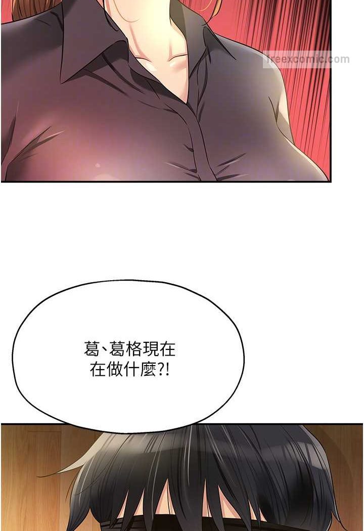 36P - 洞洞杂货店