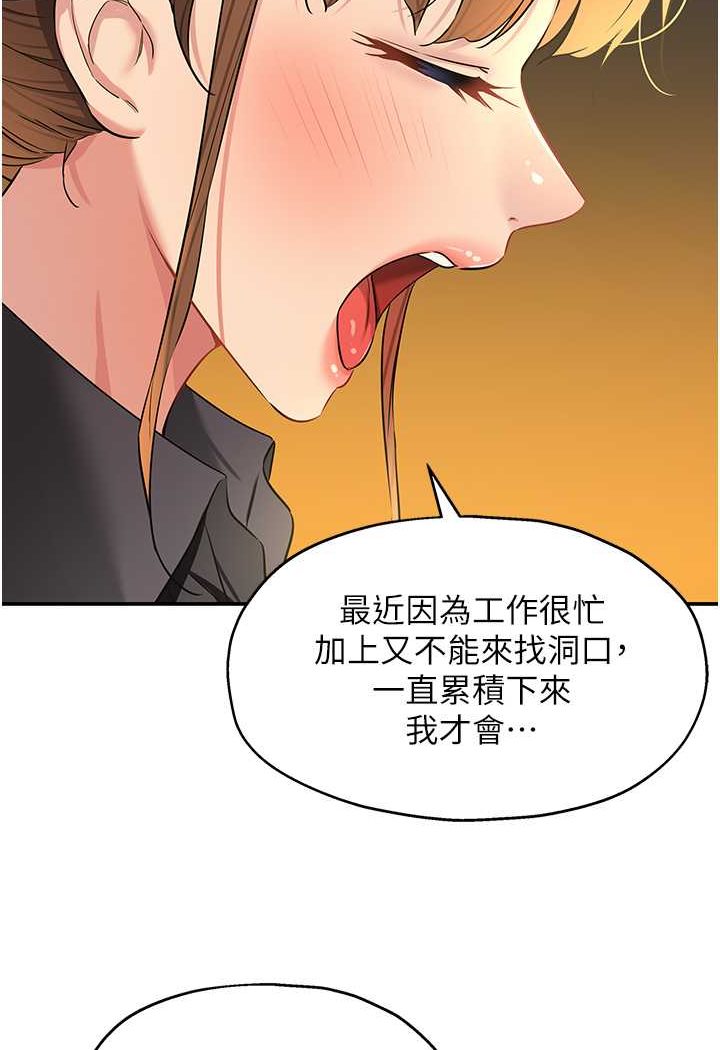 52P - 洞洞杂货店