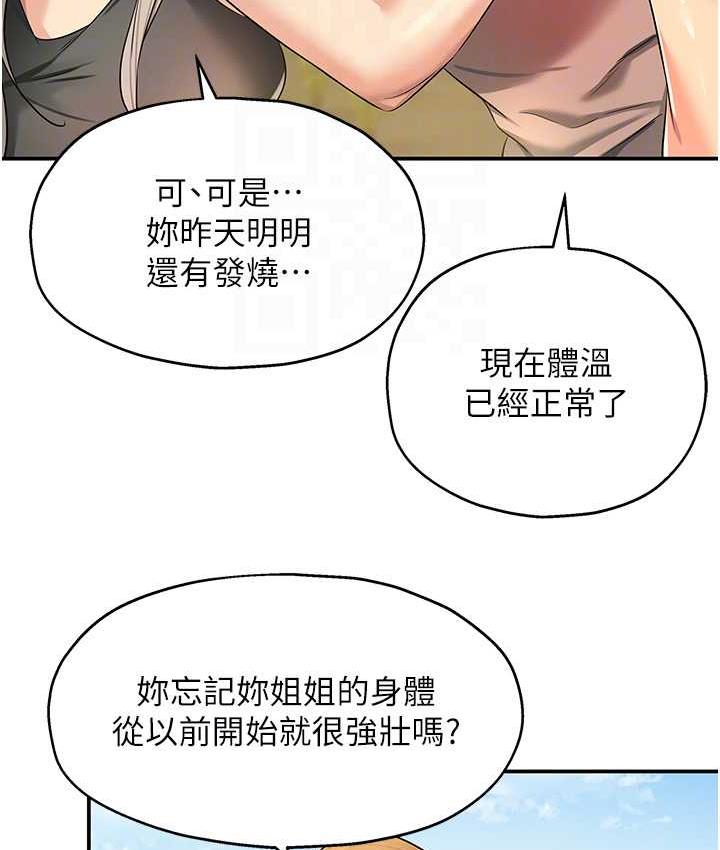 33P - 洞洞杂货店