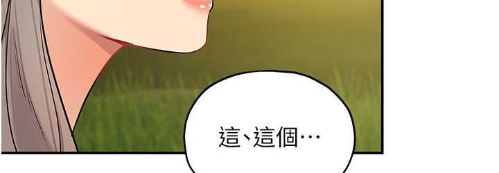 36P - 洞洞杂货店