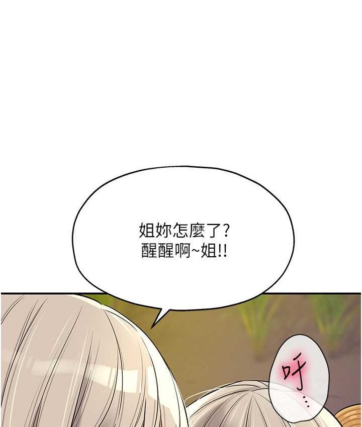 51P - 洞洞杂货店