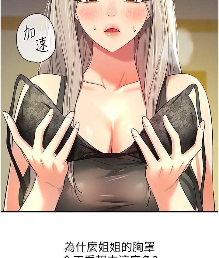 48P - 洞洞杂货店