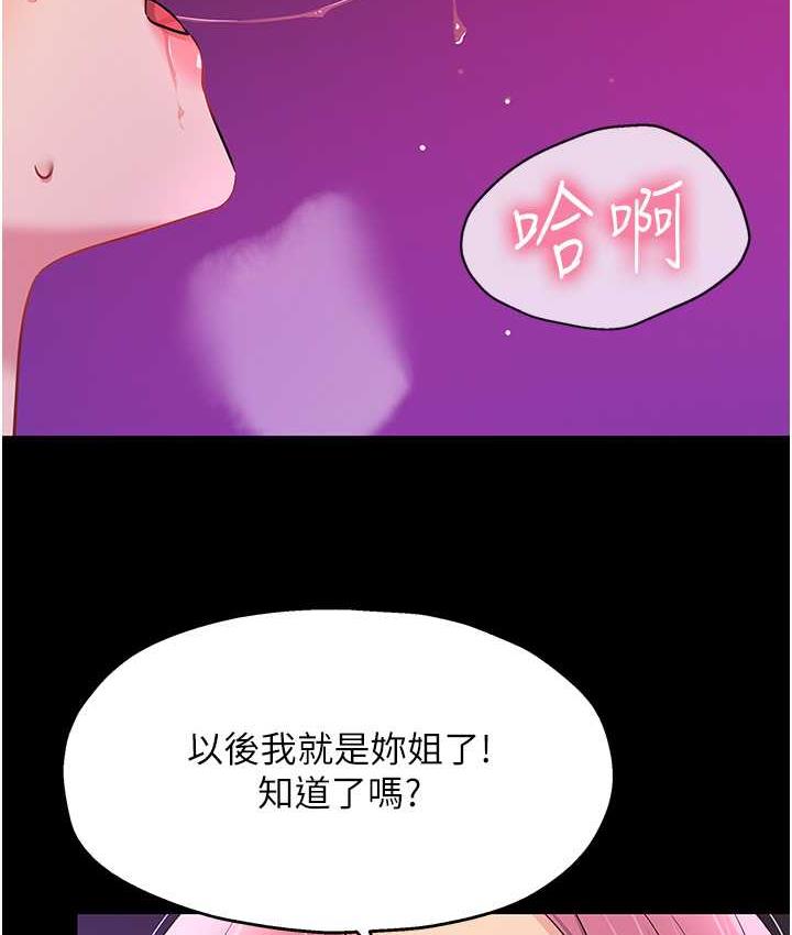 88P - 洞洞杂货店