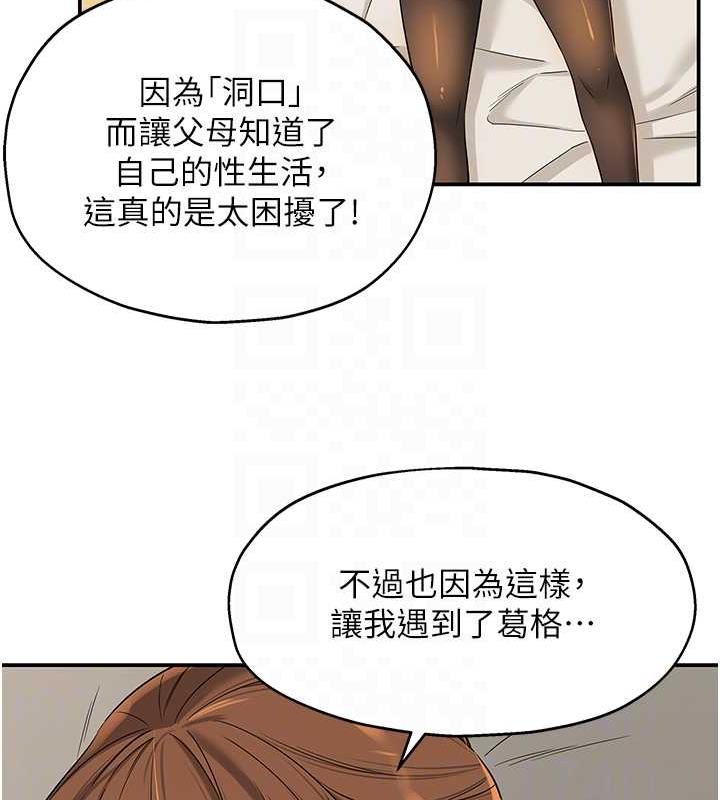33P - 洞洞杂货店