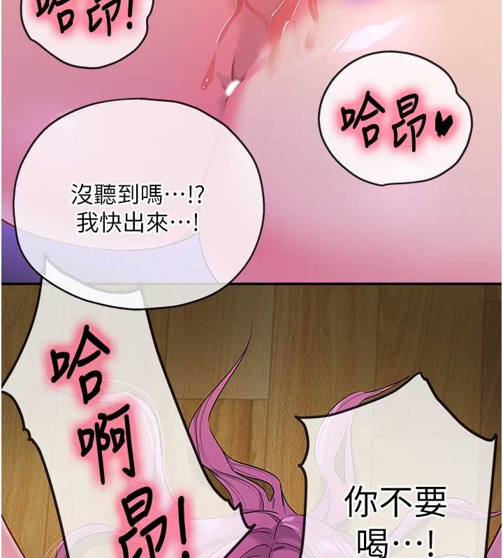 65P - 洞洞杂货店