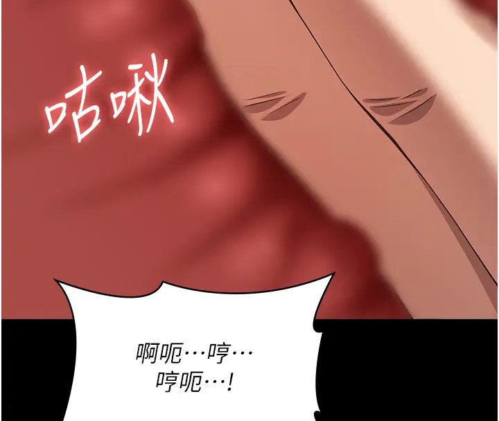 28P - 万能履历表