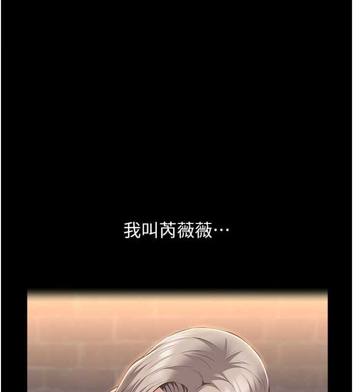 1P - 万能履历表