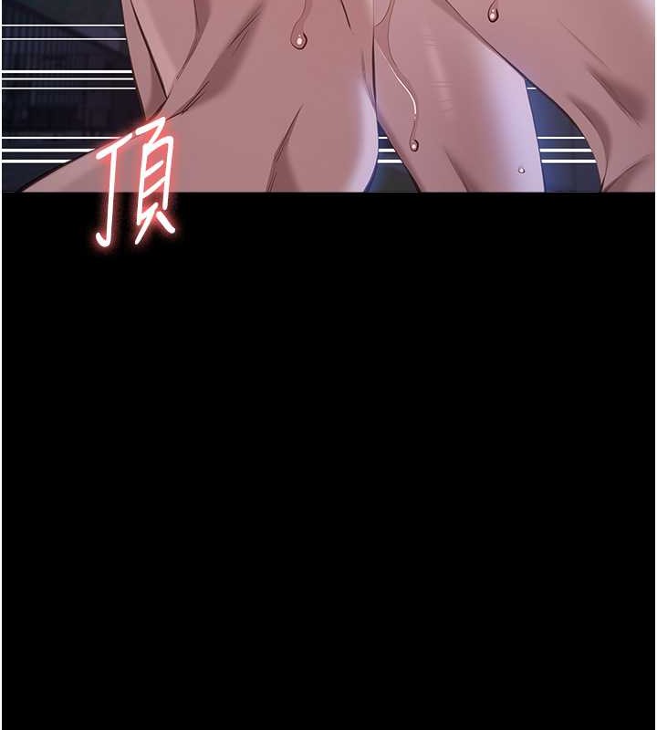 49P - 万能履历表