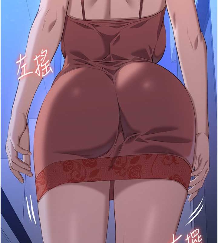 149P - 万能履历表