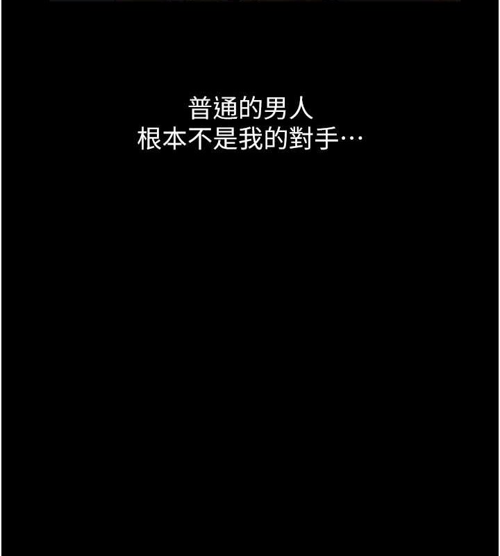 5P - 万能履历表