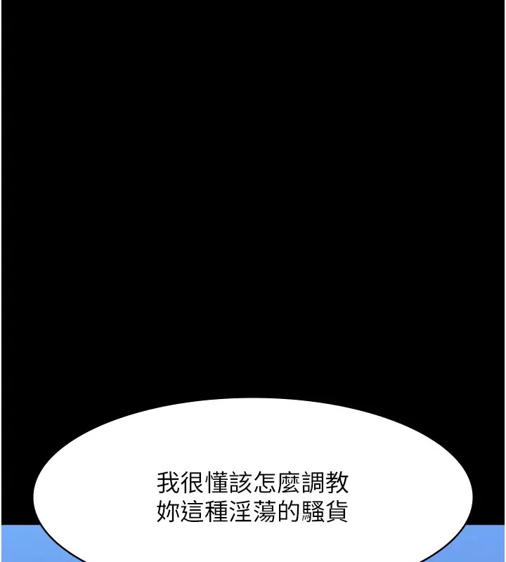 113P - 万能履历表