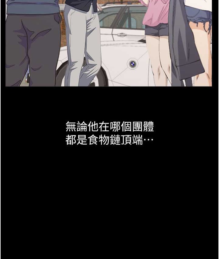 10P - 万能履历表