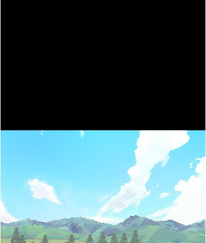 1P - 万能履历表